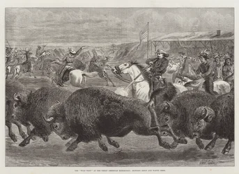 The Wild West at the Great American Exhibition, Hunting Bison and Wapiti Deer